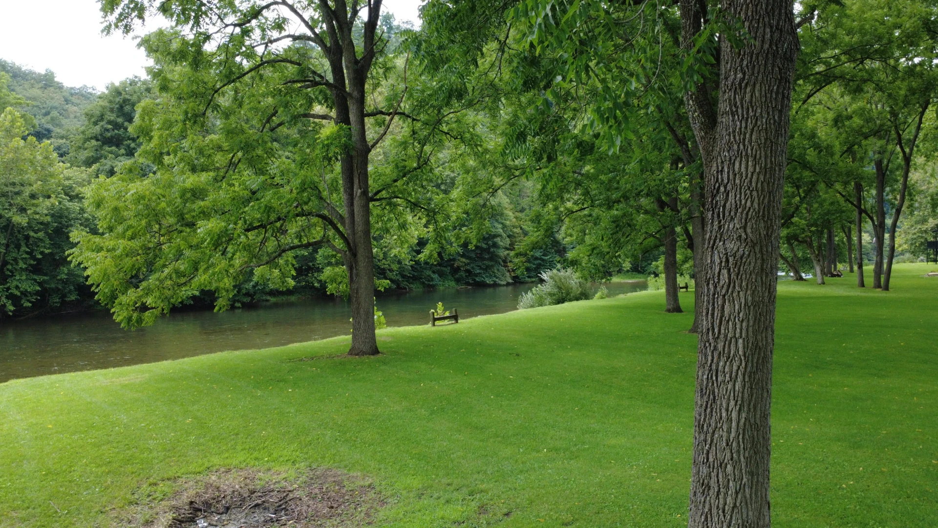 2119 Evergreen RD - Photo 13