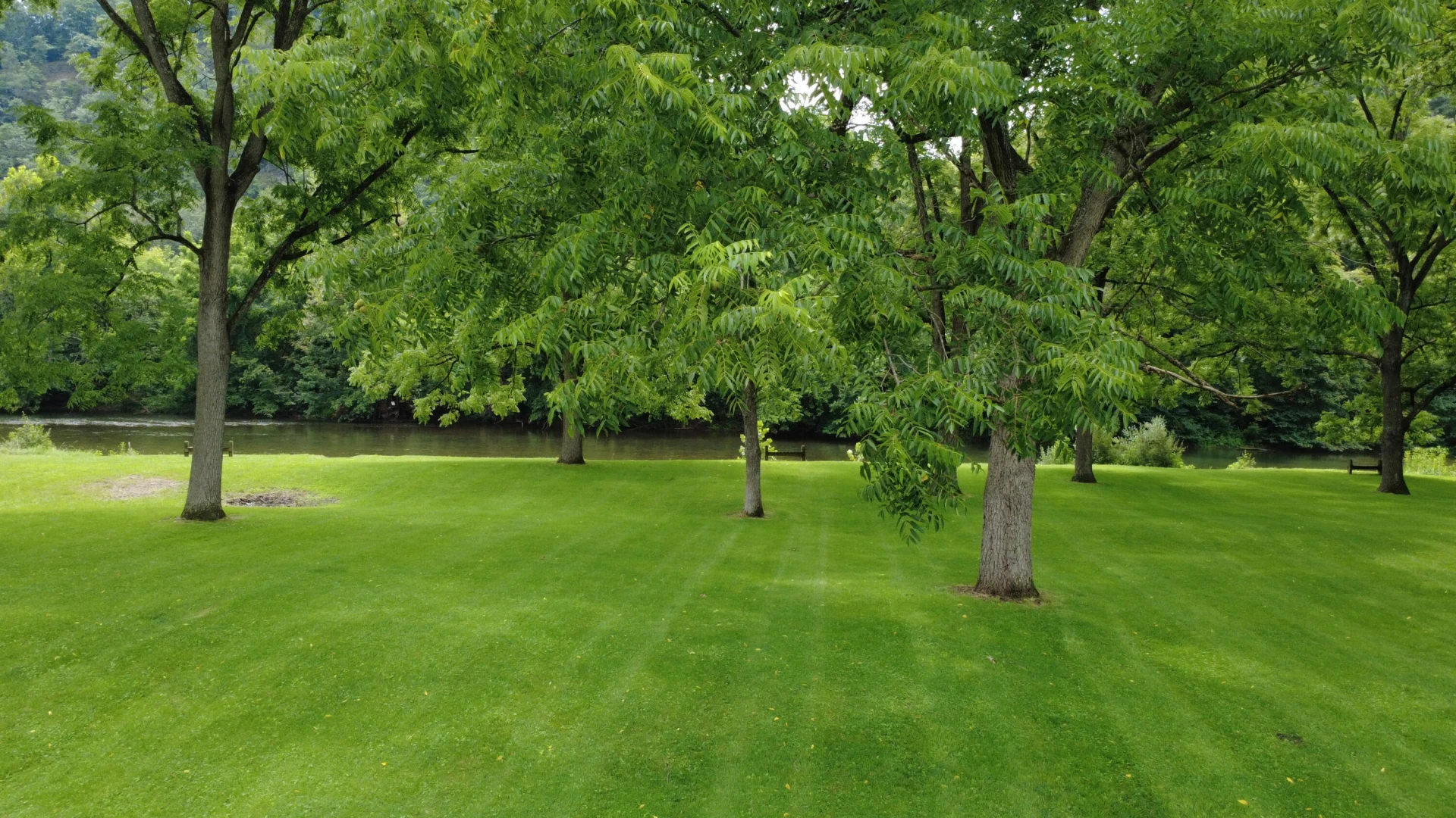 2119 Evergreen RD - Photo 14