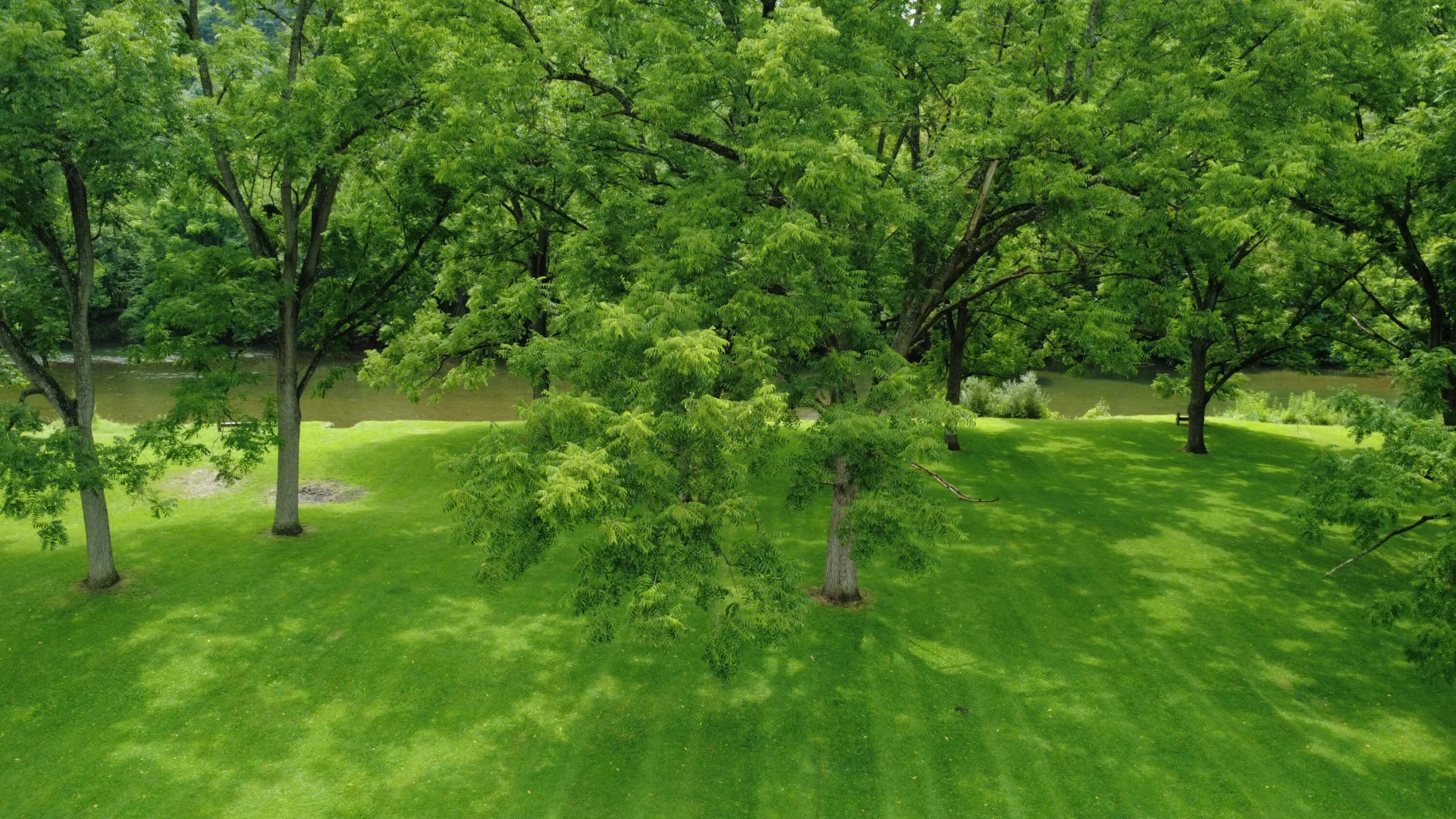 2119 Evergreen RD - Photo 17