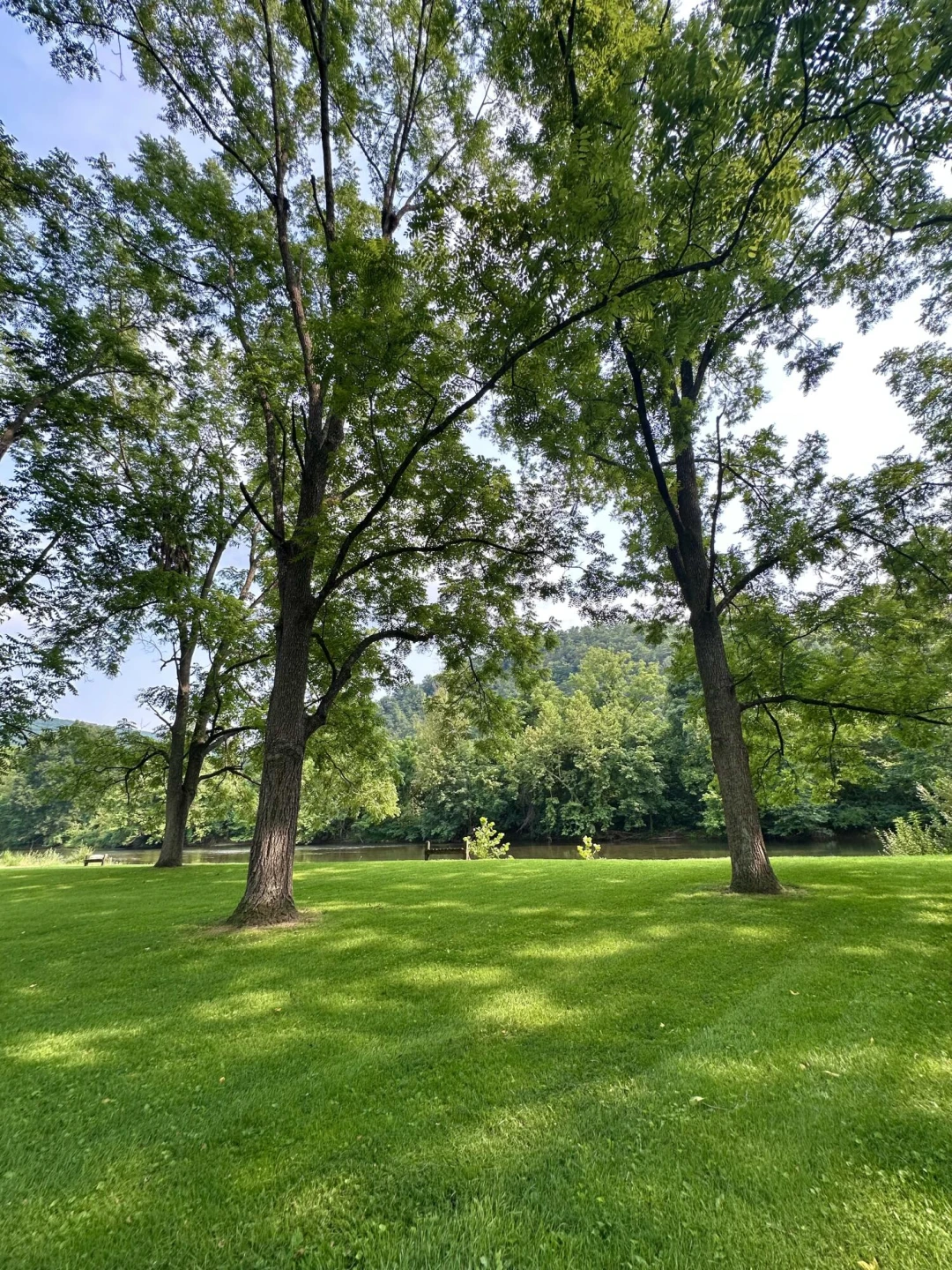 2119 Evergreen RD - Photo 30