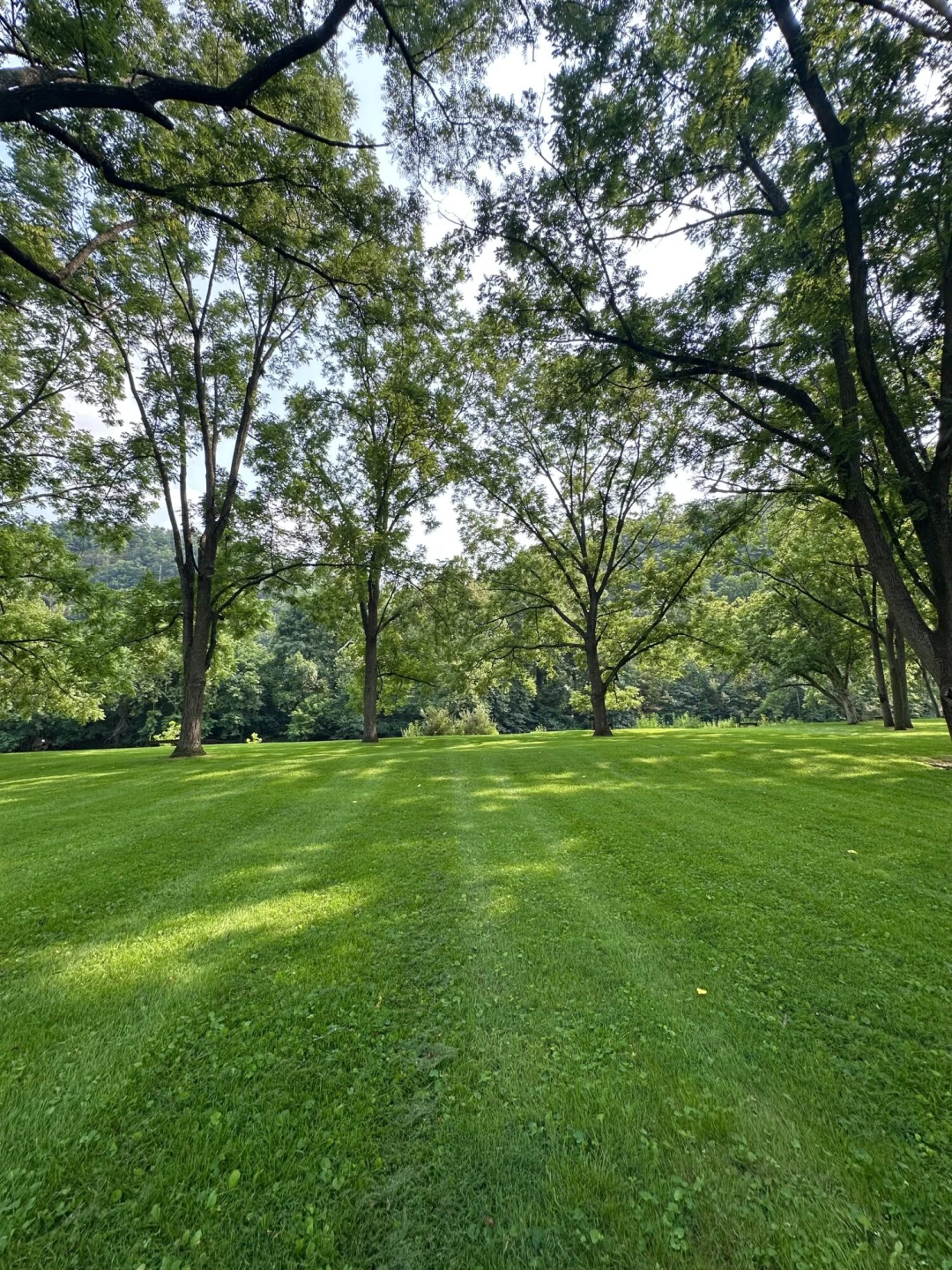 2119 Evergreen RD - Photo 31