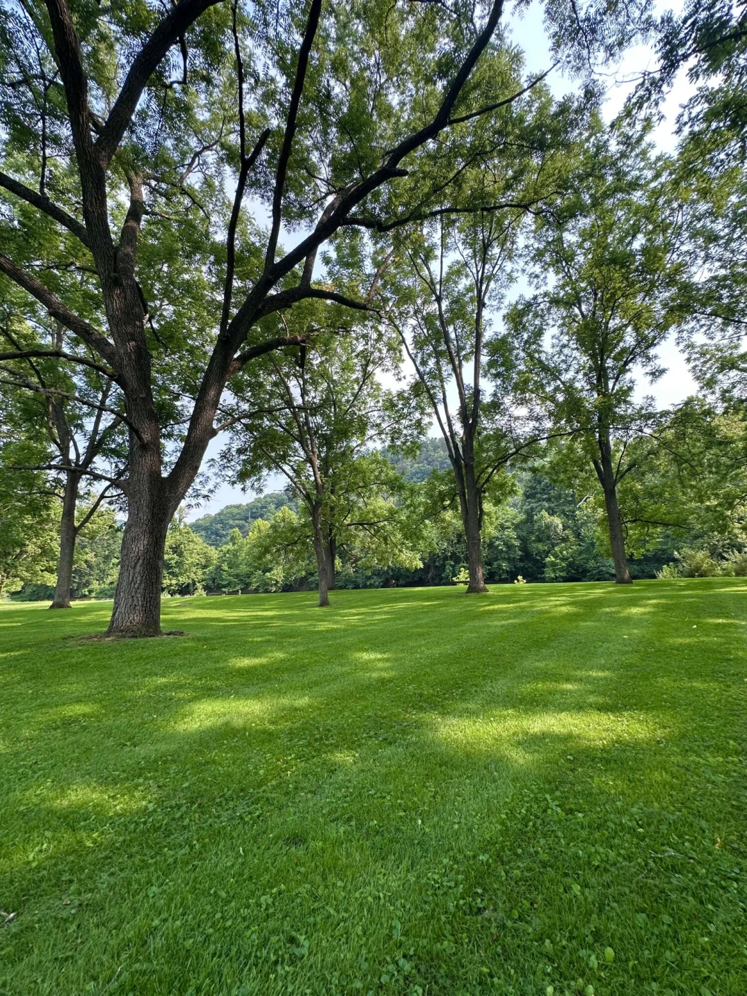 2119 Evergreen RD - Photo 32