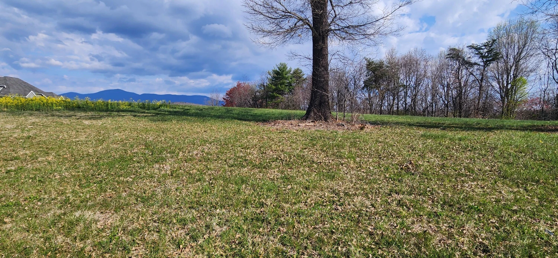LOT 1 Callaway RD - Photo 2