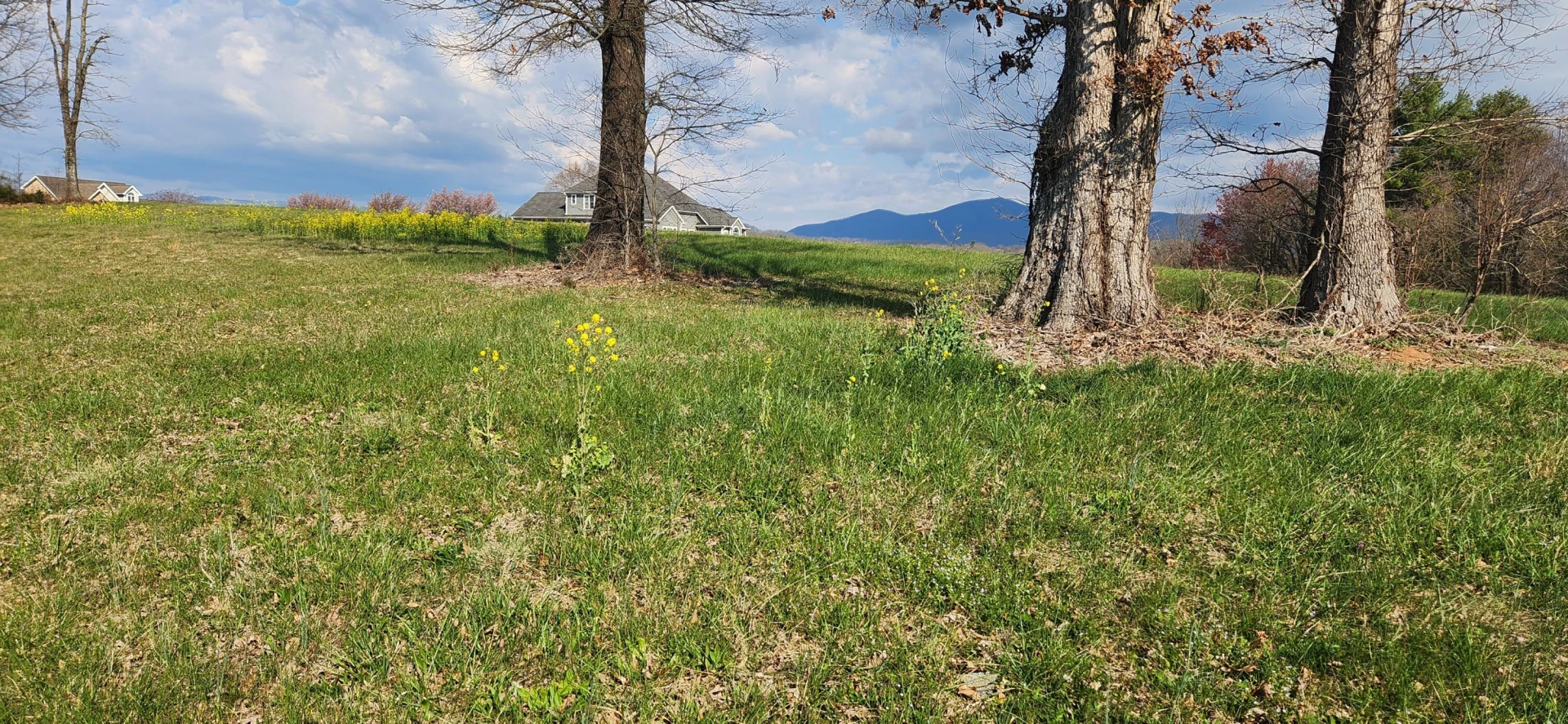 LOT 1 Callaway RD - Photo 3