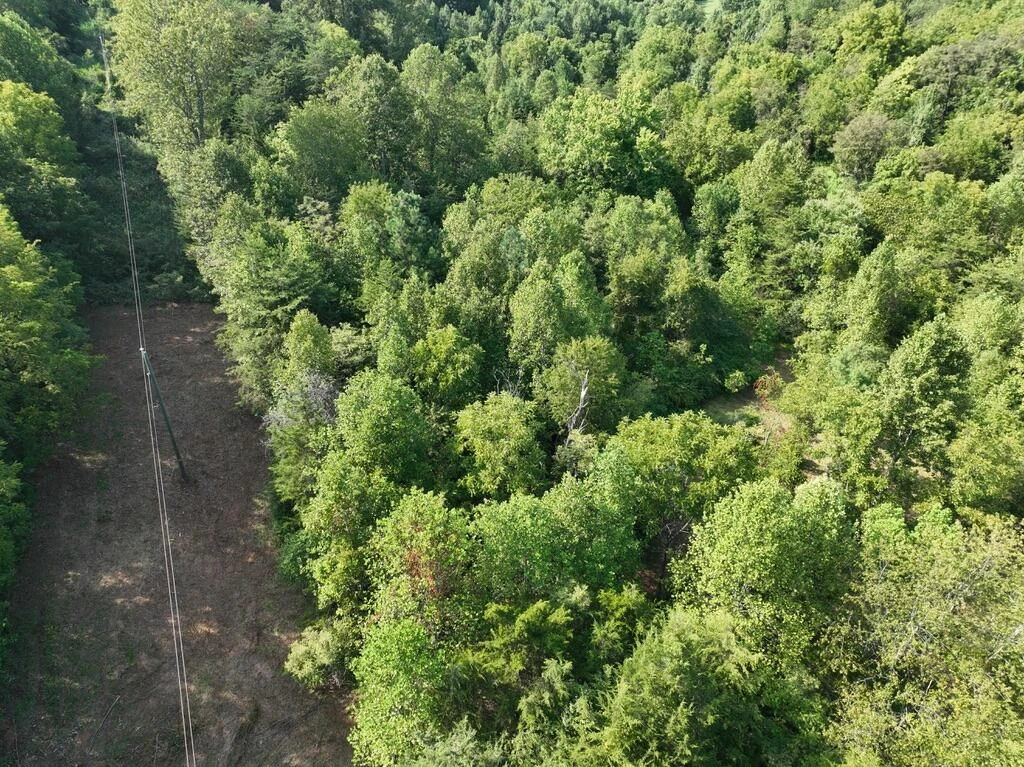 14349 Moneta RD - Photo 13