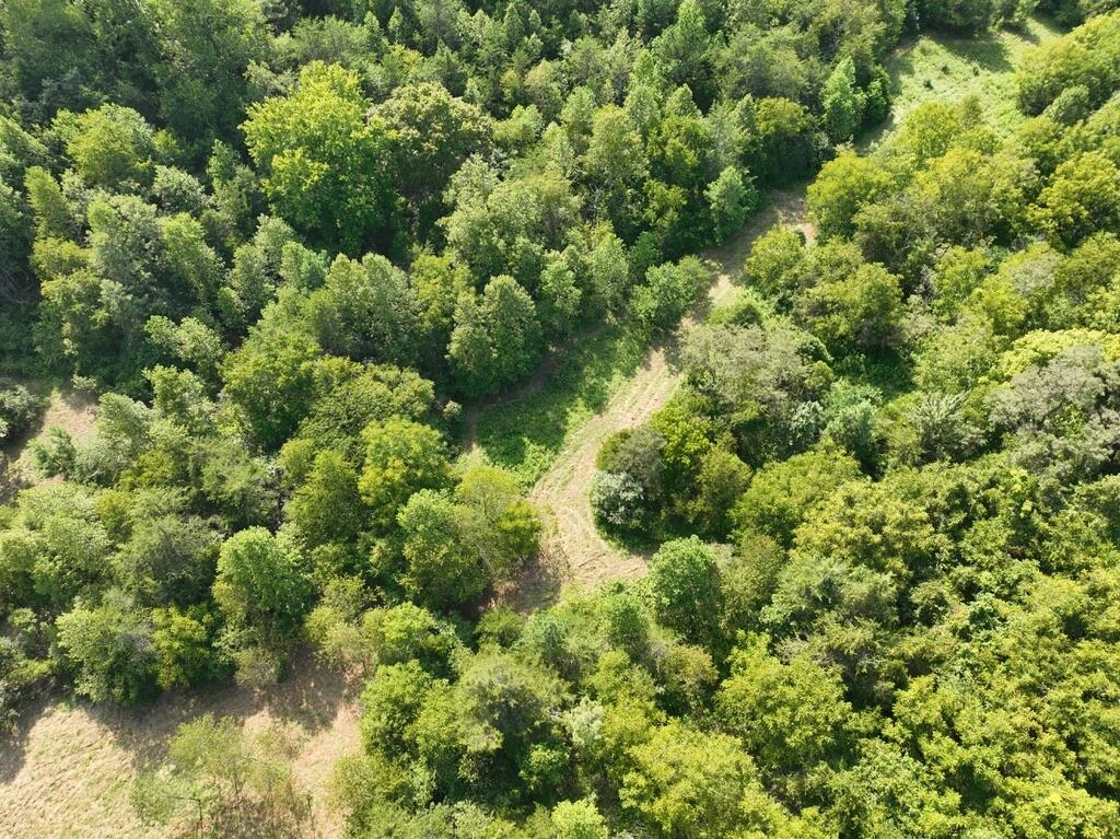 14349 Moneta RD - Photo 2