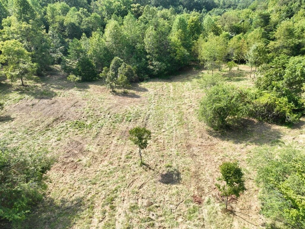 14349 Moneta RD - Photo 15