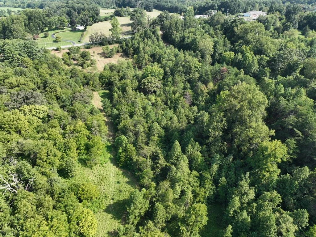 14349 Moneta RD - Photo 19