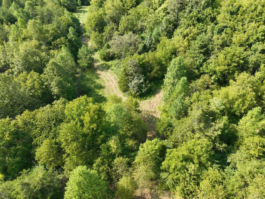 14349 Moneta RD - Photo 22