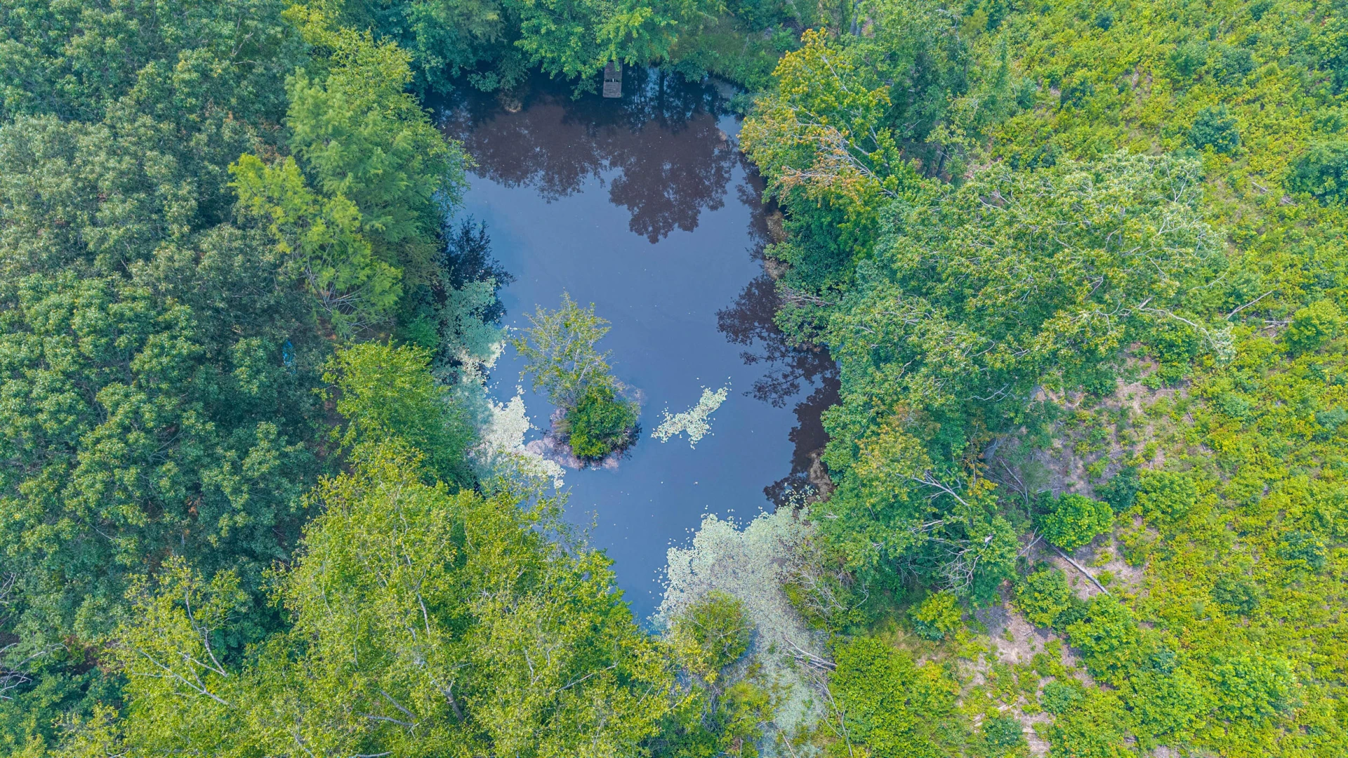 6385 Marysville RD - Photo 70