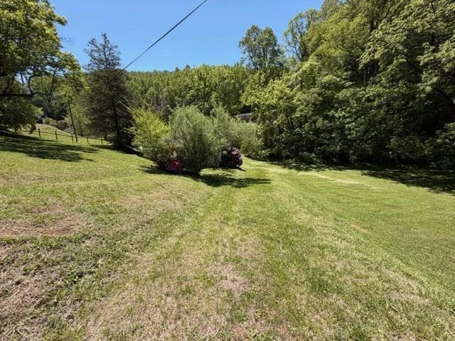 420 Dogwood Hill RD - Photo 7