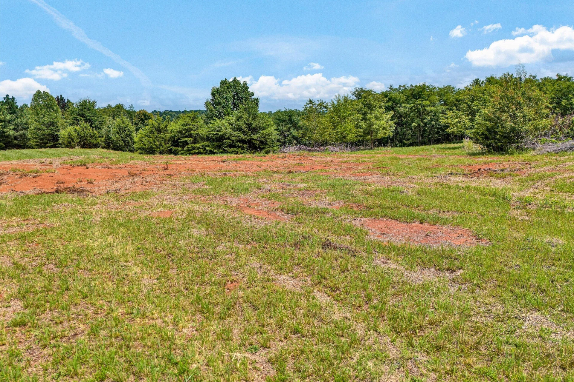 1092 Mayberry Crossing DR - Photo 10