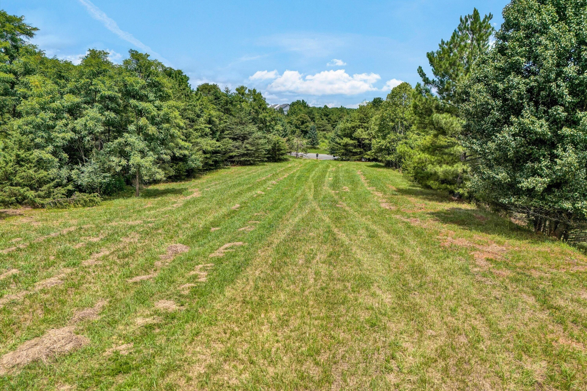 1092 Mayberry Crossing DR - Photo 11