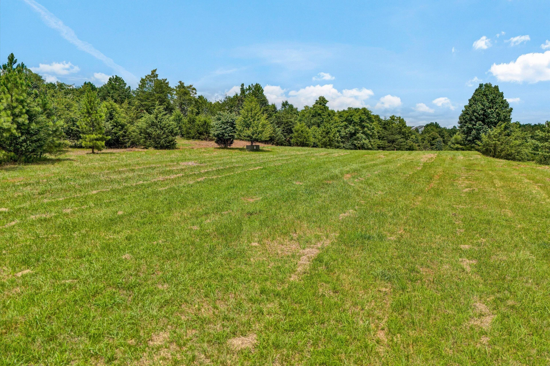 1092 Mayberry Crossing DR - Photo 14