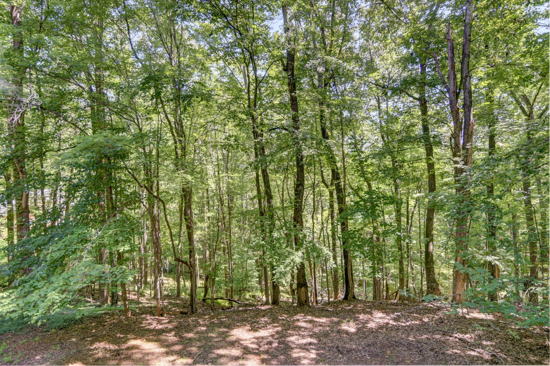 5154 Truman Hill RD - Photo 51