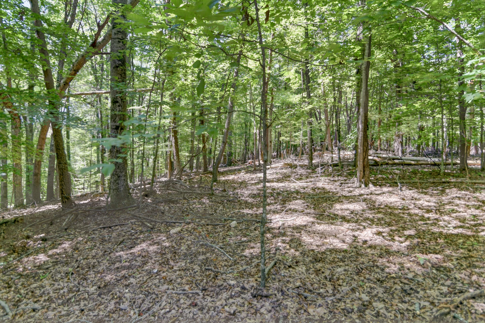 5154 Truman Hill RD - Photo 53