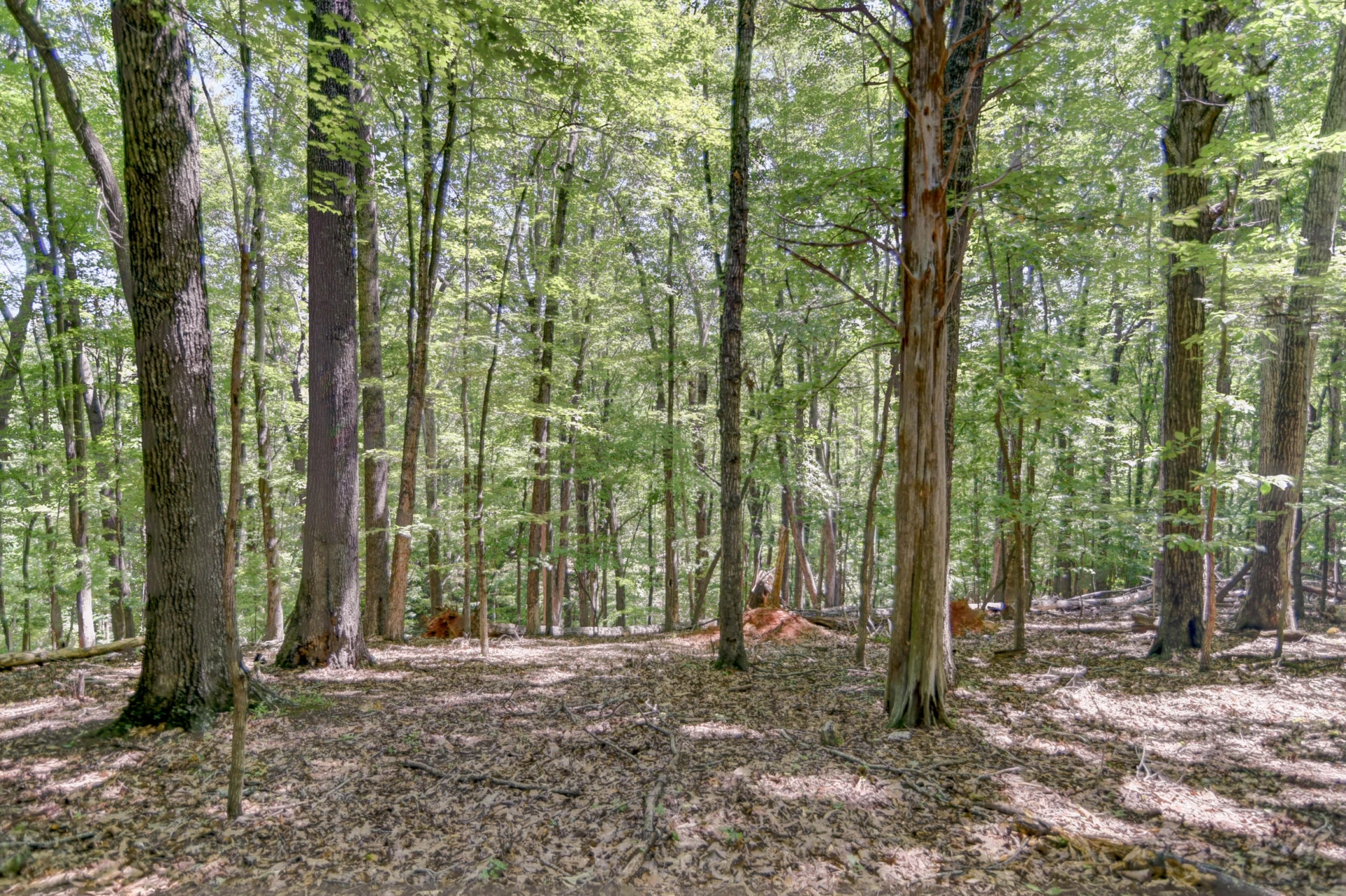 5154 Truman Hill RD - Photo 57