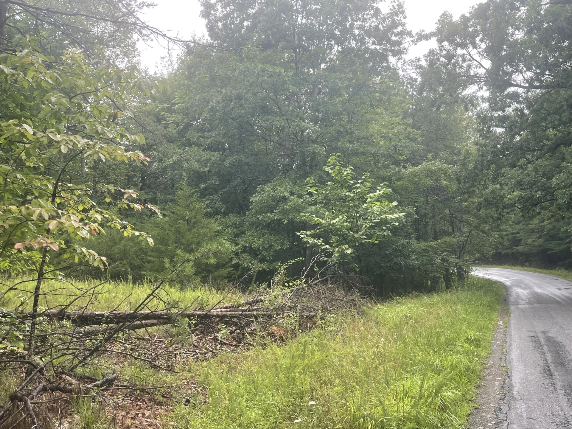 Tracts 8A & 8B Tolers Ferry Rd - Photo 4