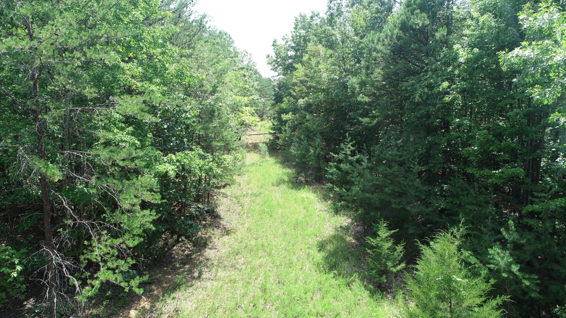 Tracts 8A & 8B Tolers Ferry Rd - Photo 3