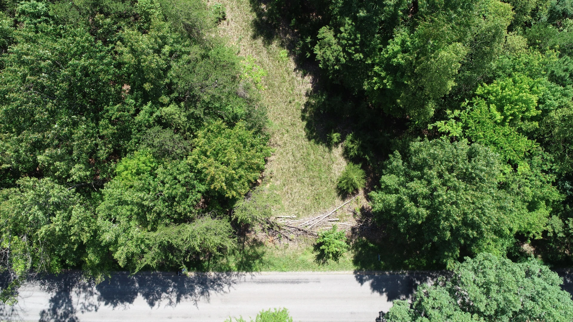 Tracts 8A & 8B Tolers Ferry Rd - Photo 6