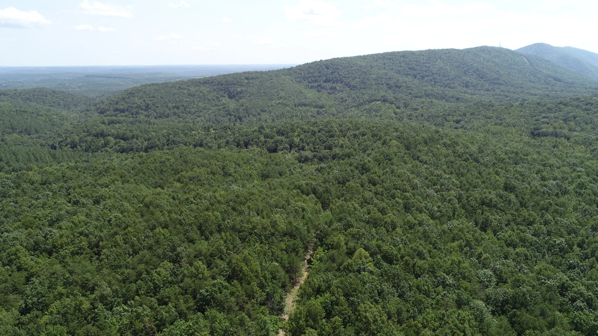 Tracts 8A & 8B Tolers Ferry Rd - Photo 9