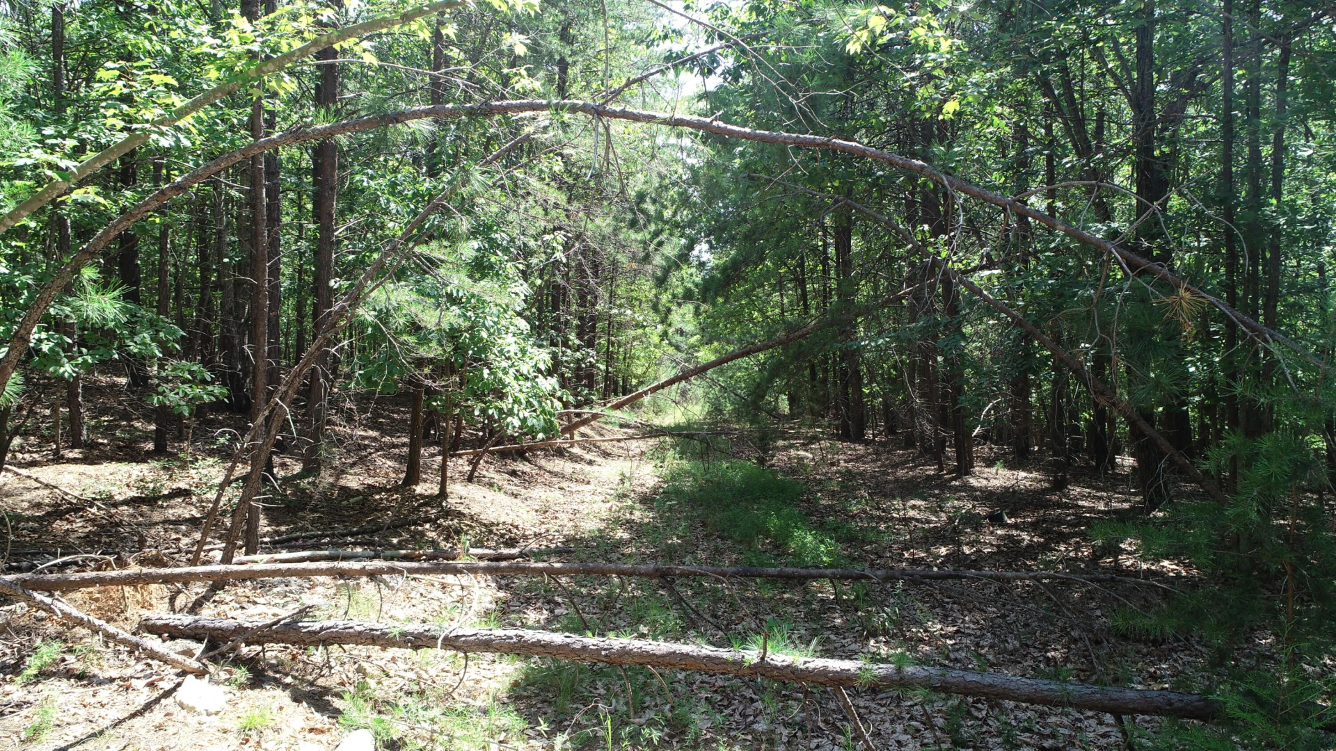 Tracts 8A & 8B Tolers Ferry Rd - Photo 10