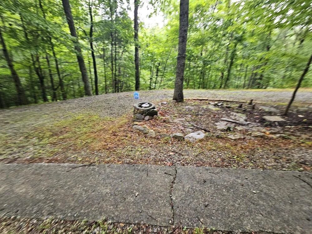 7202 Branico DR - Photo 20