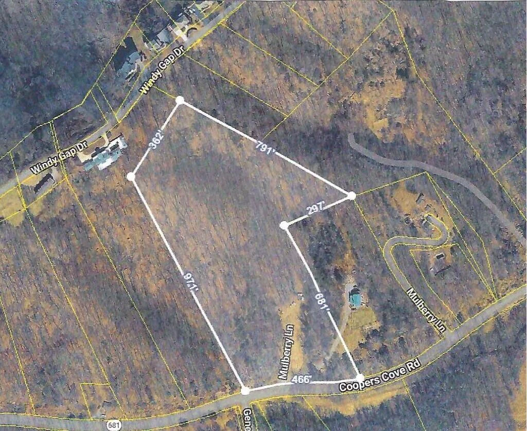 533 COOPERS COVE RD - Photo 4