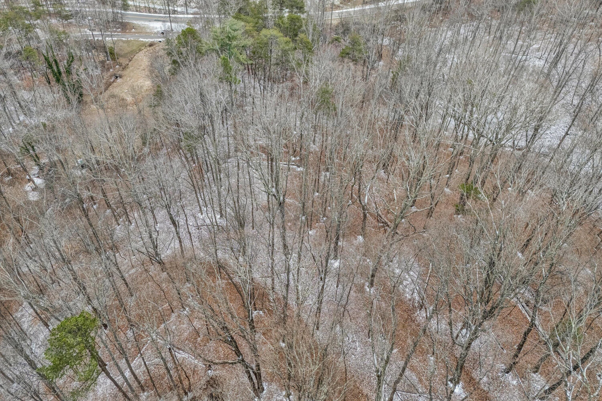 533 COOPERS COVE RD - Photo 10