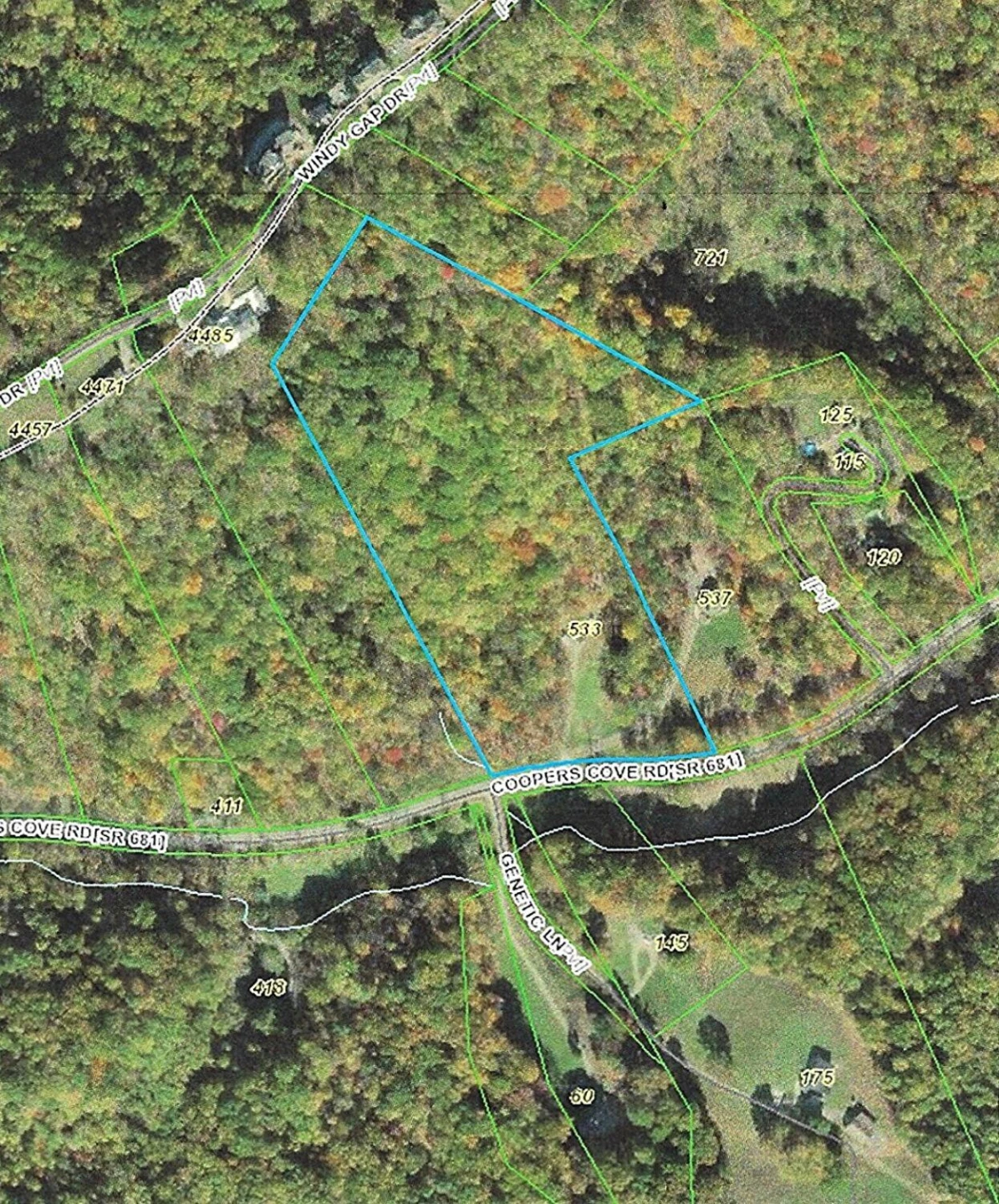 533 COOPERS COVE RD - Photo 12