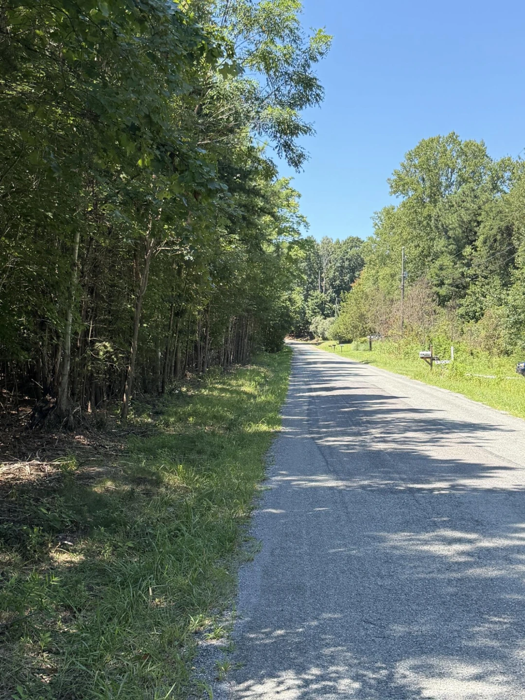0 Country Oak RD - Photo 2