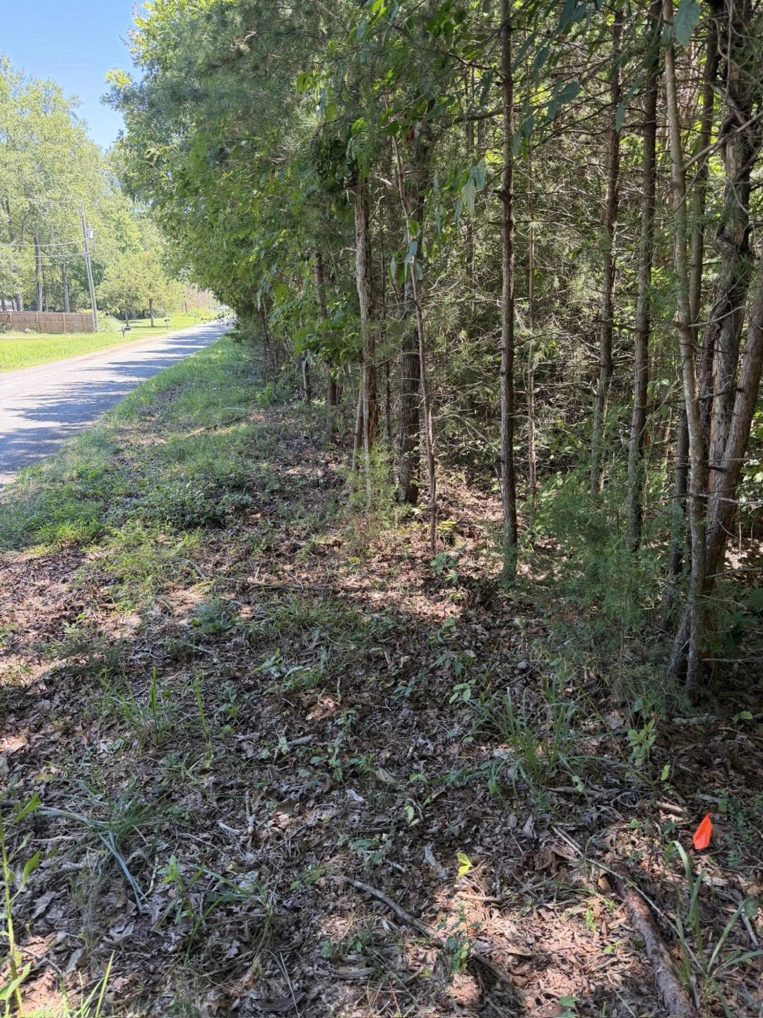0 Country Oak RD - Photo 3