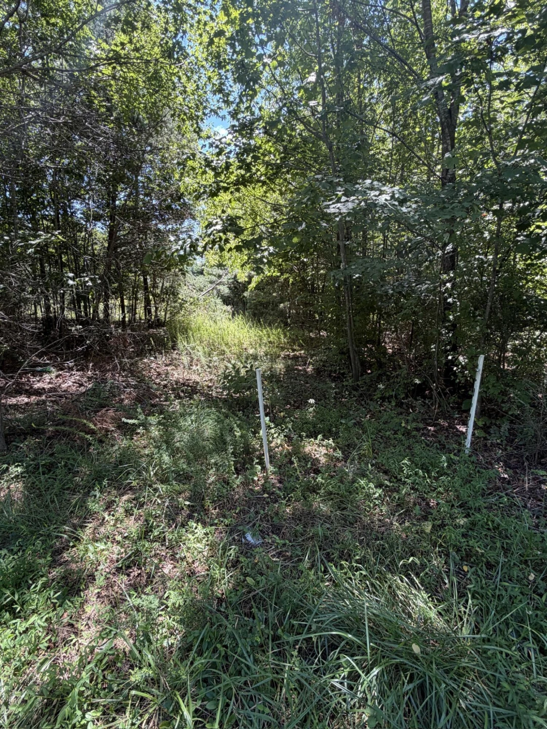 0 Country Oak RD - Photo 6