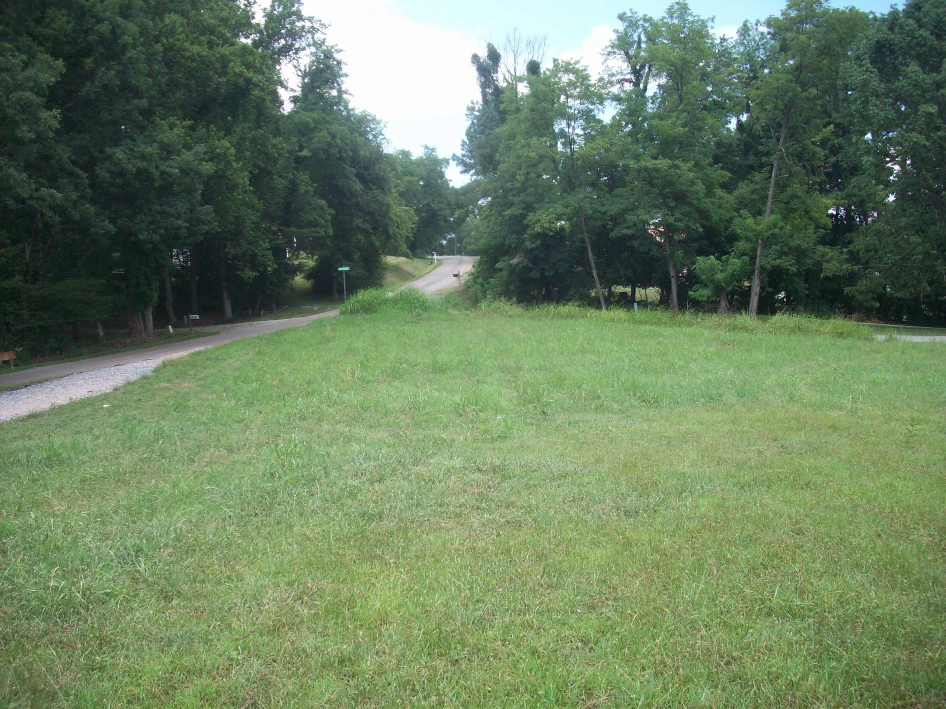 Lot 1 Horseshoe Bend RD - Photo 2