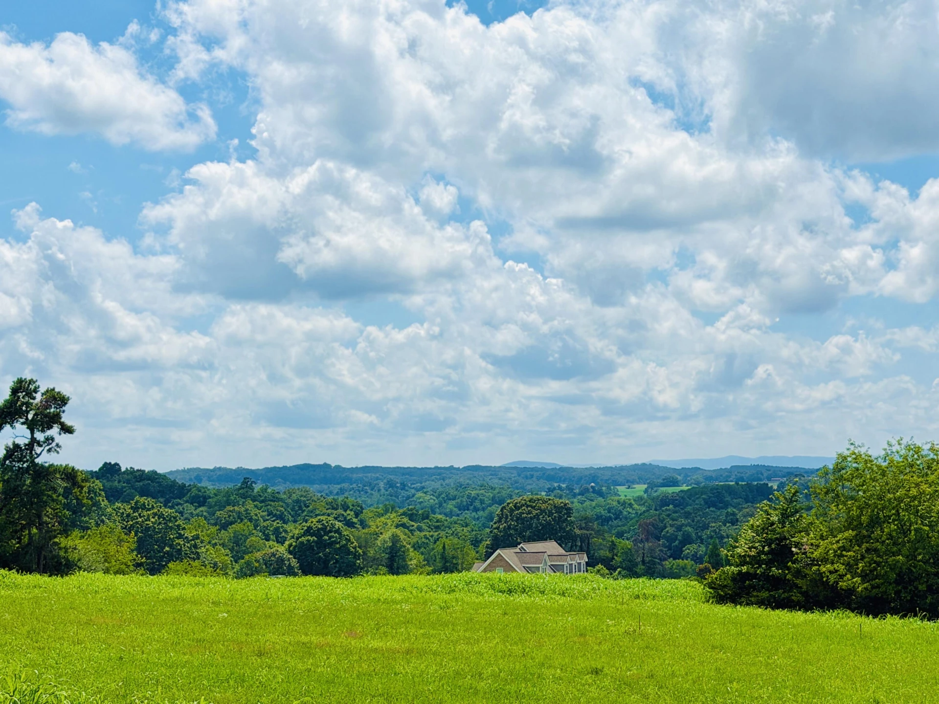 172 Nyle Ridge RD - Photo 8