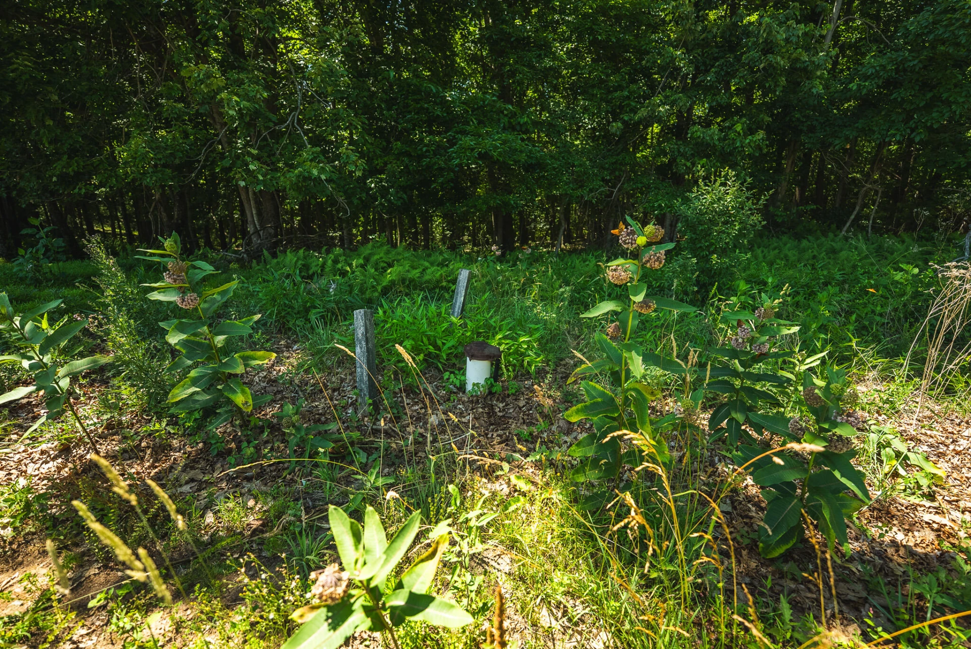 494 Soapstone Hill RD SE - Photo 90