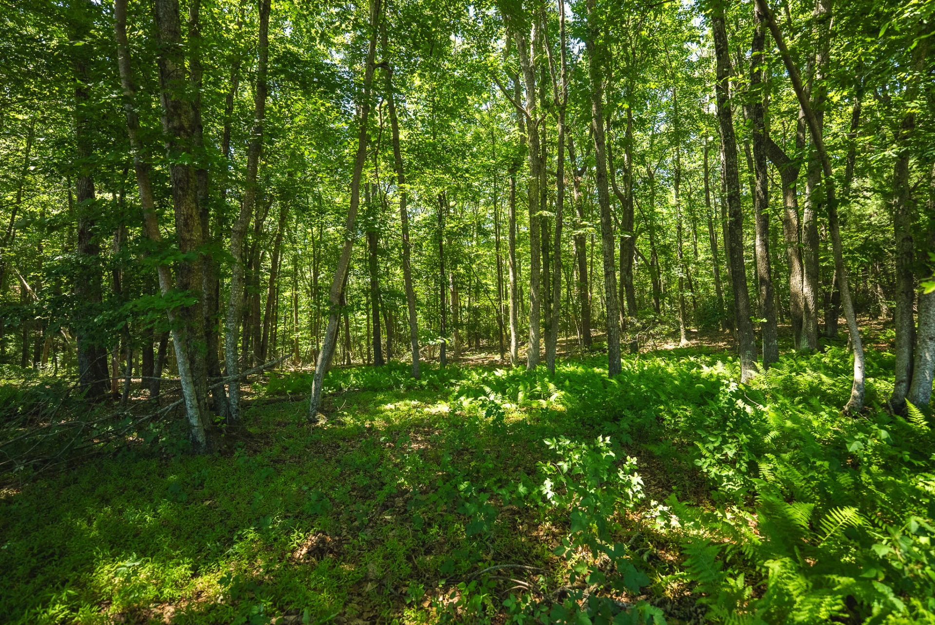 494 Soapstone Hill RD SE - Photo 91