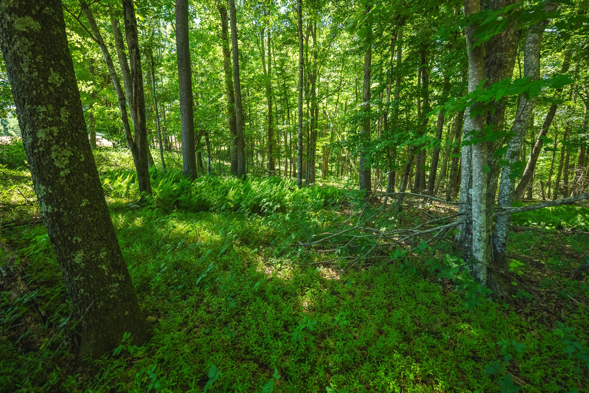 494 Soapstone Hill RD SE - Photo 92