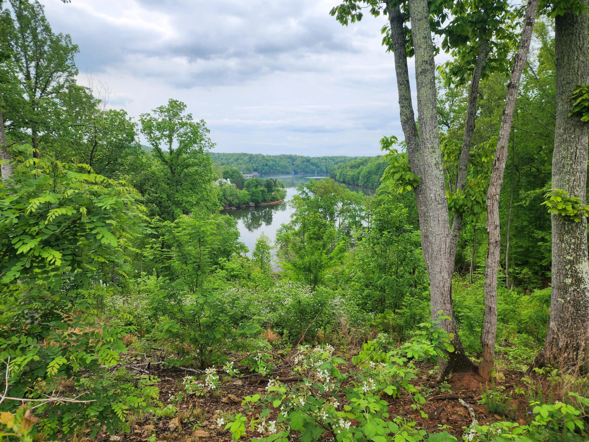 Lot 69 Washburn CT - Photo 2