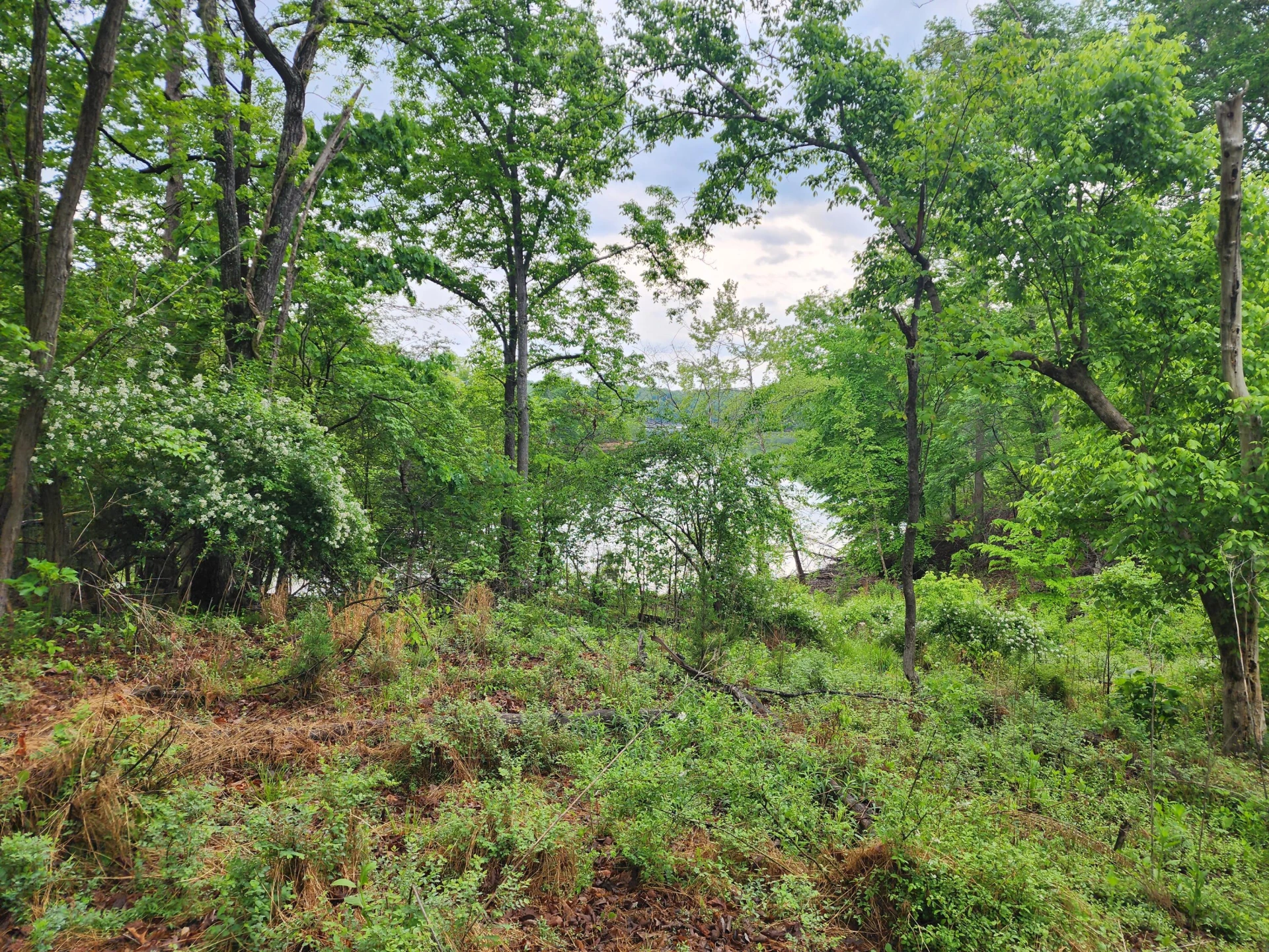 Lot 69 Washburn CT - Photo 5
