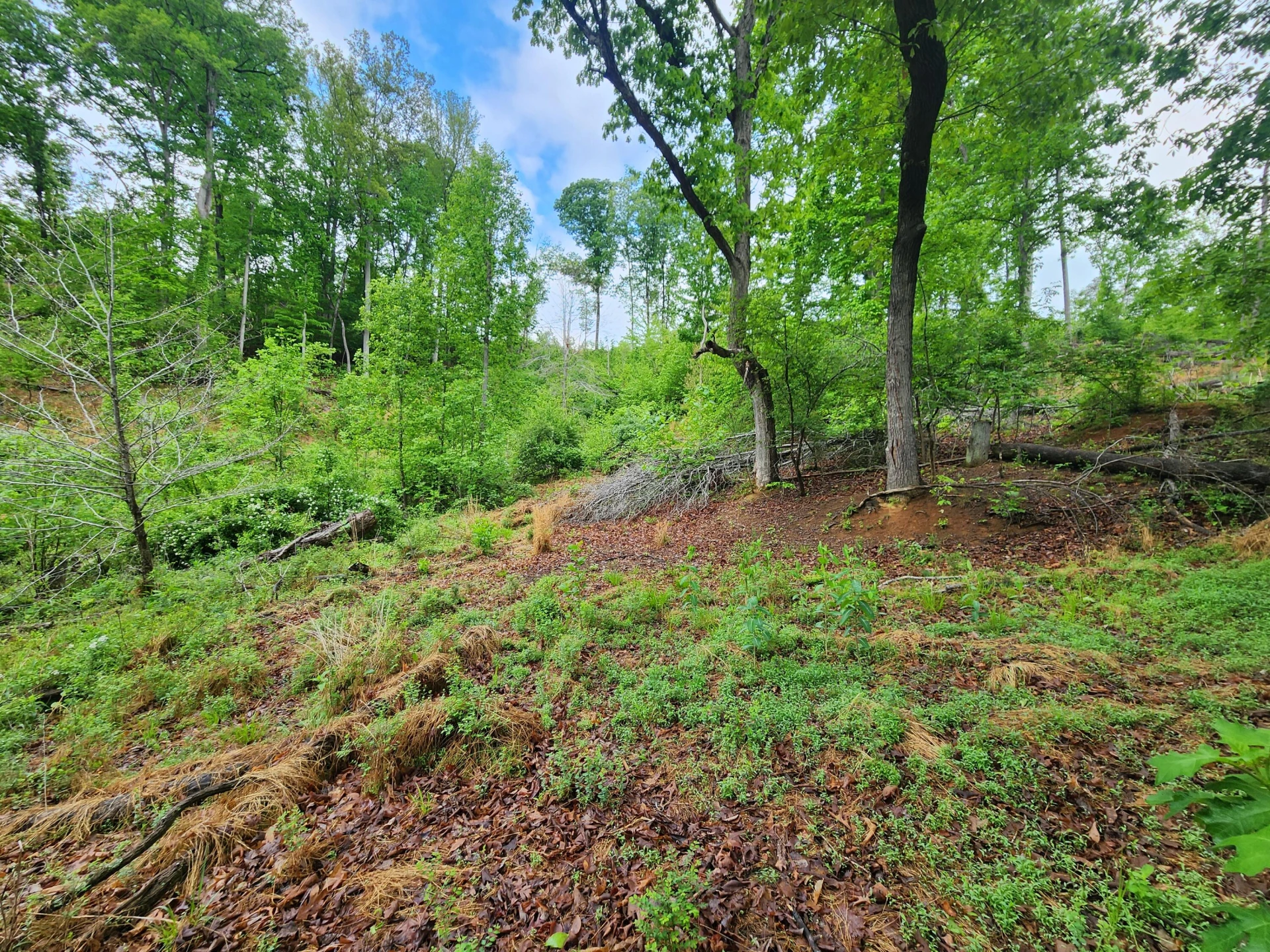 Lot 69 Washburn CT - Photo 6