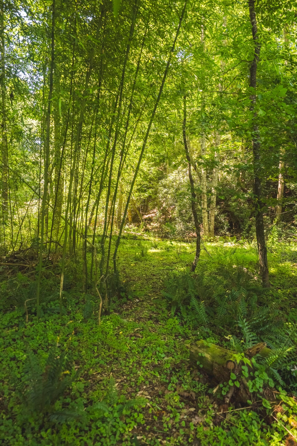 9067 Twin Falls RD NE - Photo 21
