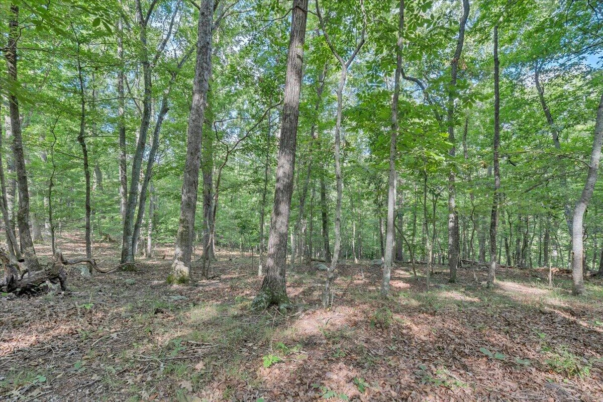 7654 Goose Creek Valley RD - Photo 13