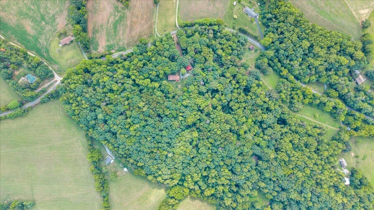 7654 Goose Creek Valley RD - Photo 83