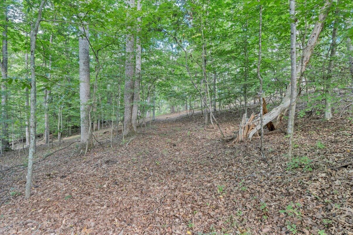7654 Goose Creek Valley RD - Photo 93
