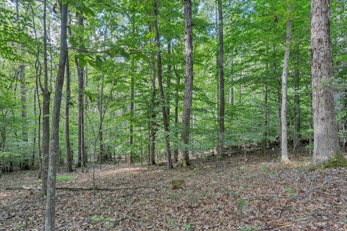 7654 Goose Creek Valley RD - Photo 94