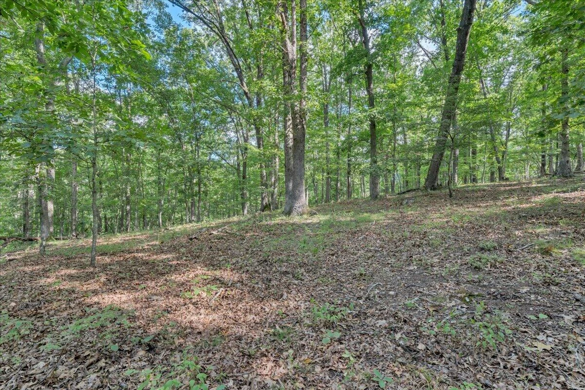 7654 Goose Creek Valley RD - Photo 95