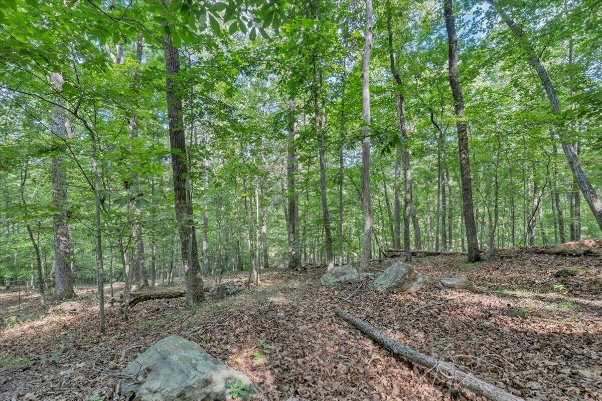 7654 Goose Creek Valley RD - Photo 96