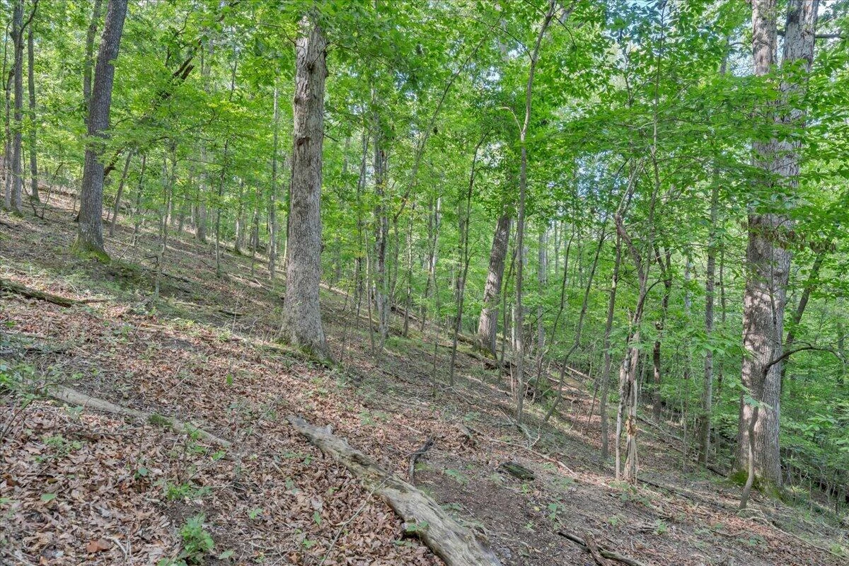 7654 Goose Creek Valley RD - Photo 98