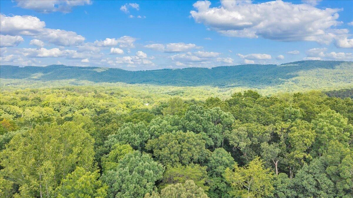 7654 Goose Creek Valley RD - Photo 103